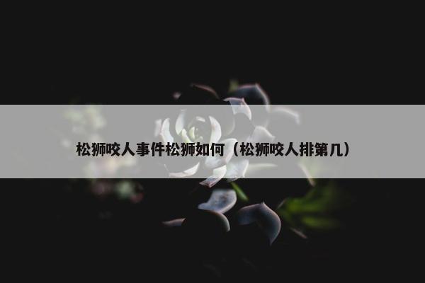 松狮咬人事件松狮如何（松狮咬人排第几）