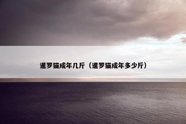 暹罗猫成年几斤（暹罗猫成年多少斤）