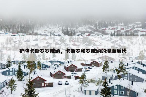护院卡斯罗罗威纳，卡斯罗和罗威纳的混血后代