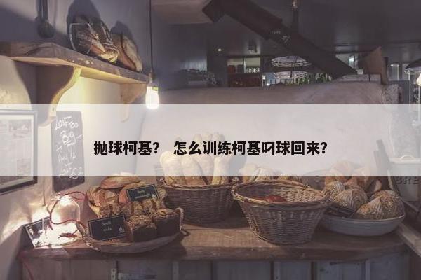 抛球柯基？ 怎么训练柯基叼球回来？