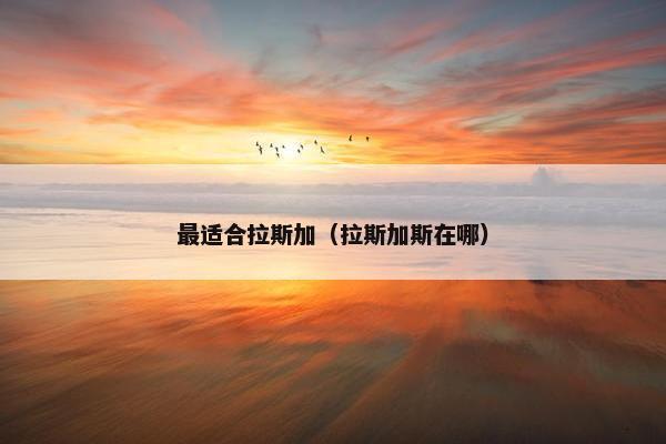 最适合拉斯加（拉斯加斯在哪）