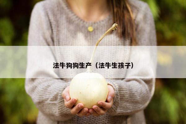 法牛狗狗生产（法牛生孩子）