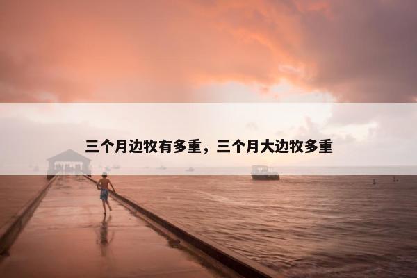三个月边牧有多重，三个月大边牧多重