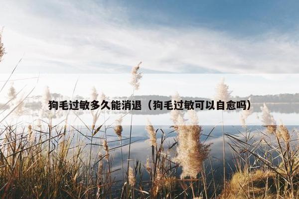 狗毛过敏多久能消退（狗毛过敏可以自愈吗）