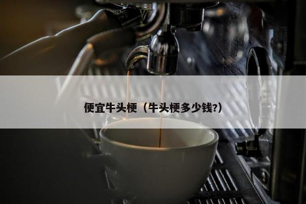 便宜牛头梗（牛头梗多少钱?）
