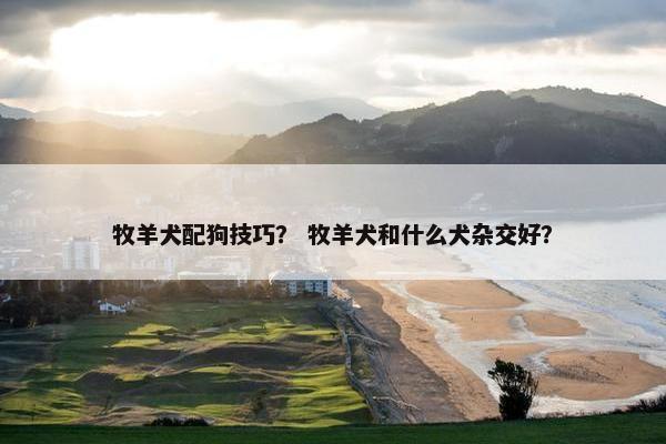 牧羊犬配狗技巧？ 牧羊犬和什么犬杂交好？