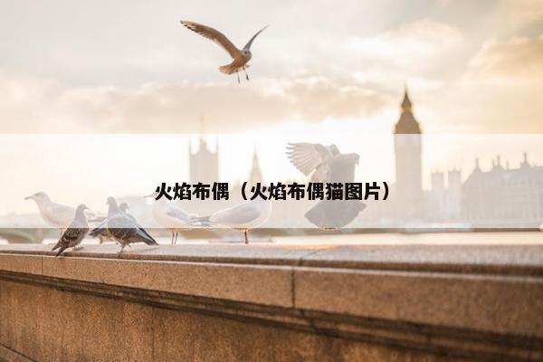 火焰布偶（火焰布偶猫图片）