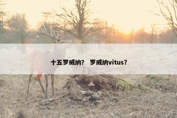 十五罗威纳？ 罗威纳vitus？