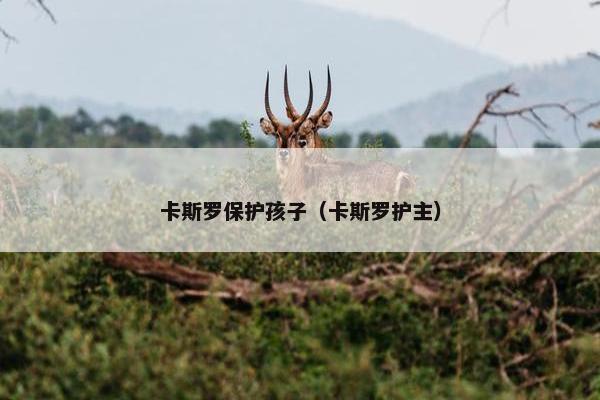 卡斯罗保护孩子（卡斯罗护主）