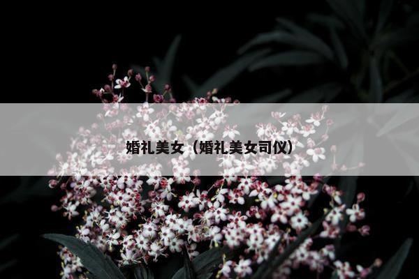 婚礼美女（婚礼美女司仪）