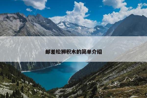 邮差松狮积木的简单介绍