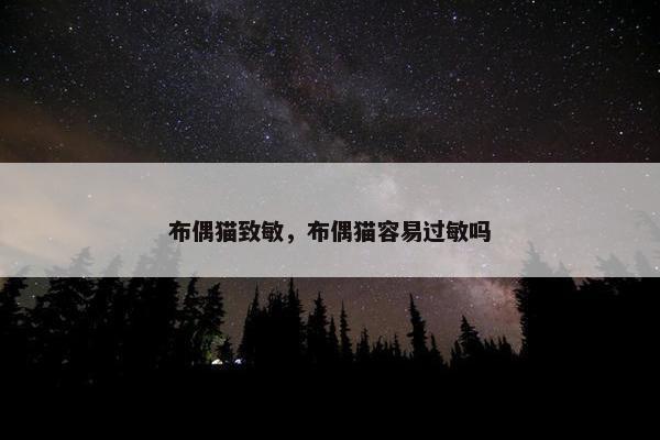 布偶猫致敏，布偶猫容易过敏吗