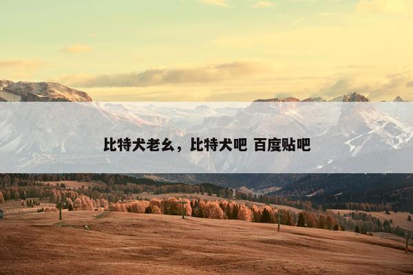 比特犬老幺，比特犬吧 百度贴吧