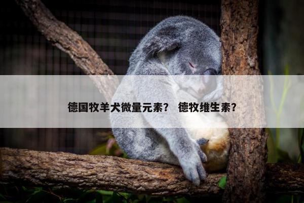 德国牧羊犬微量元素？ 德牧维生素？