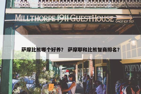 萨摩比熊哪个好养？ 萨摩耶和比熊智商排名？