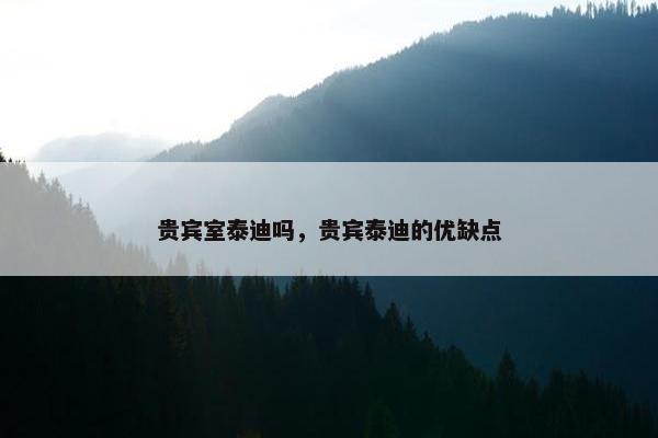 贵宾室泰迪吗，贵宾泰迪的优缺点
