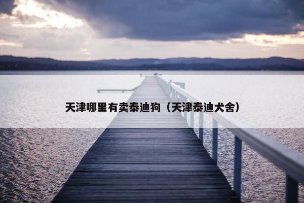 天津哪里有卖泰迪狗（天津泰迪犬舍）