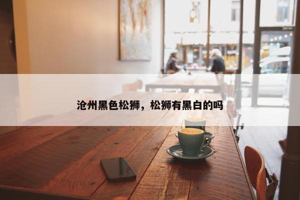沧州黑色松狮，松狮有黑白的吗