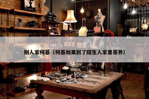 别人家柯基（柯基如果到了陌生人家里寄养）