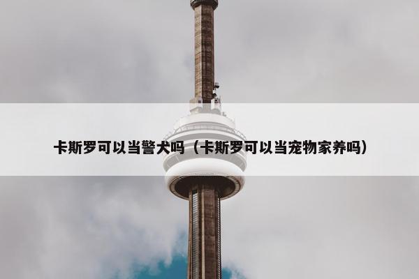 卡斯罗可以当警犬吗（卡斯罗可以当宠物家养吗）