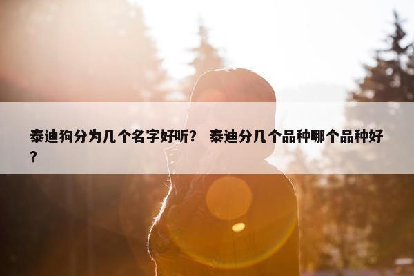 泰迪狗分为几个名字好听？ 泰迪分几个品种哪个品种好？