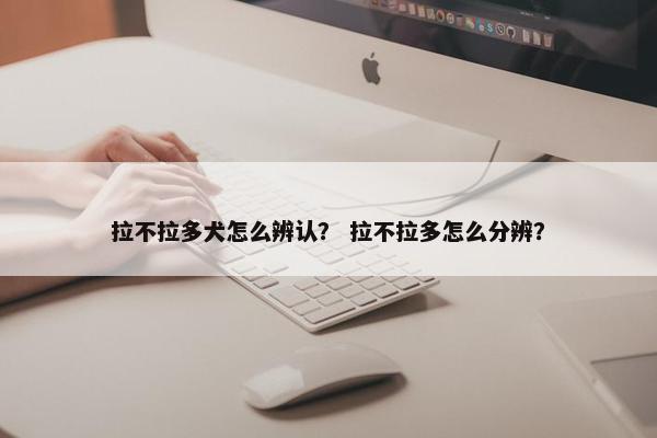 拉不拉多犬怎么辨认？ 拉不拉多怎么分辨？