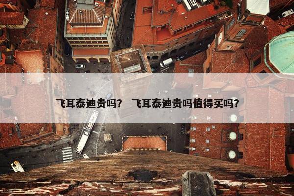 飞耳泰迪贵吗？ 飞耳泰迪贵吗值得买吗？