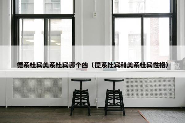 德系杜宾美系杜宾哪个凶（德系杜宾和美系杜宾性格）