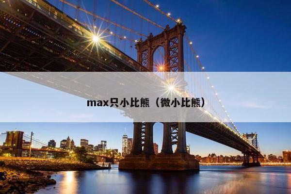 max只小比熊（微小比熊）