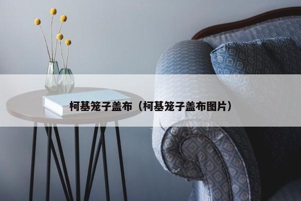 柯基笼子盖布（柯基笼子盖布图片）