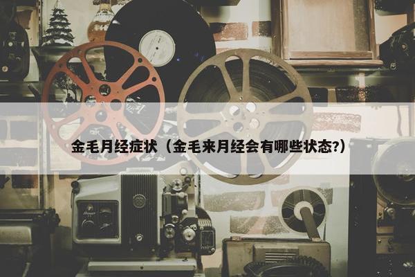 金毛月经症状（金毛来月经会有哪些状态?）