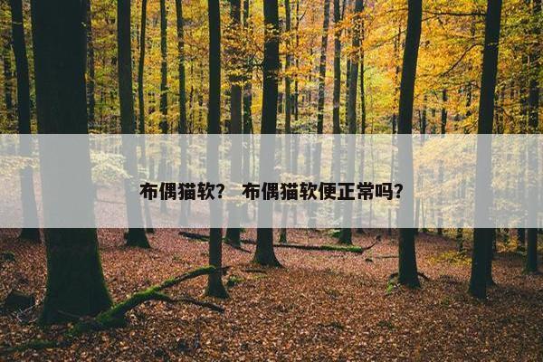 布偶猫软？ 布偶猫软便正常吗？