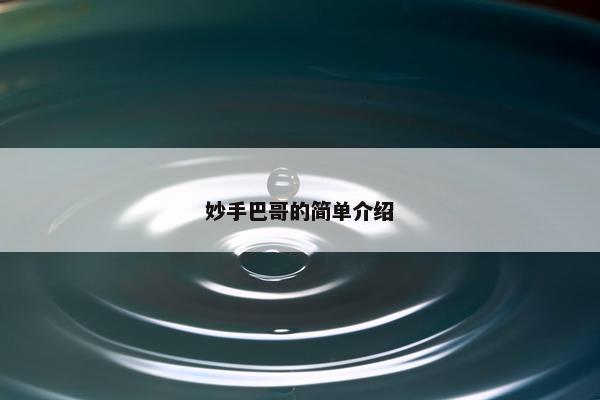 妙手巴哥的简单介绍