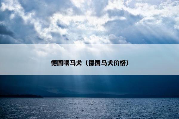 德国喂马犬（德国马犬价格）