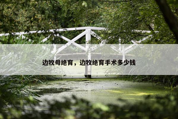 边牧母绝育，边牧绝育手术多少钱