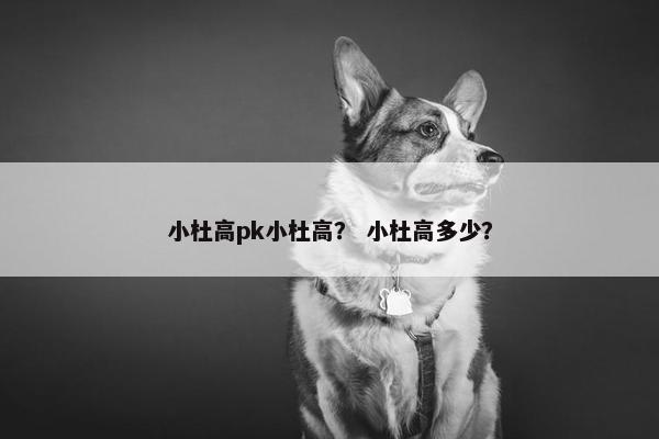 小杜高pk小杜高？ 小杜高多少？