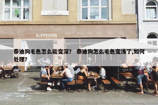 泰迪狗毛色怎么能变深？ 泰迪狗怎么毛色变浅了,如何处理？