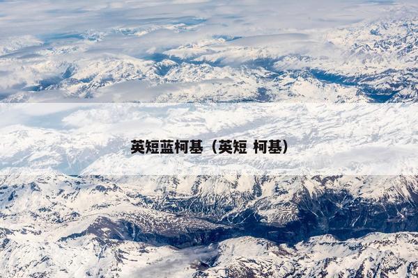 英短蓝柯基（英短 柯基）