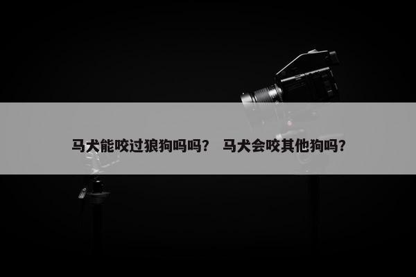 马犬能咬过狼狗吗吗？ 马犬会咬其他狗吗？
