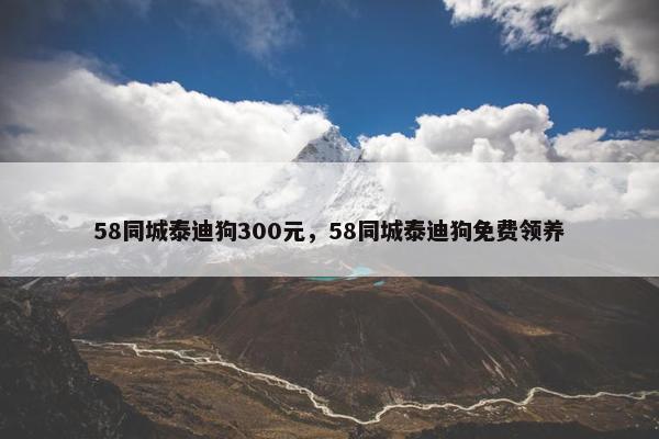 58同城泰迪狗300元，58同城泰迪狗免费领养
