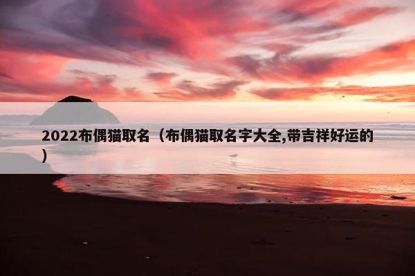 2022布偶猫取名（布偶猫取名字大全,带吉祥好运的）