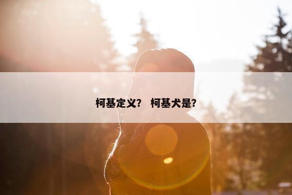 柯基定义？ 柯基犬是？