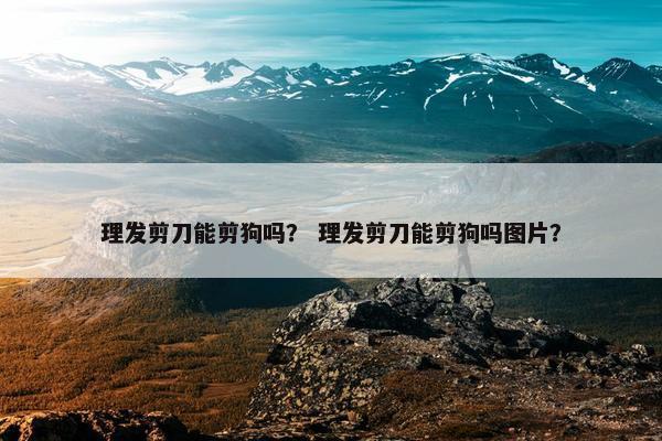 理发剪刀能剪狗吗？ 理发剪刀能剪狗吗图片？