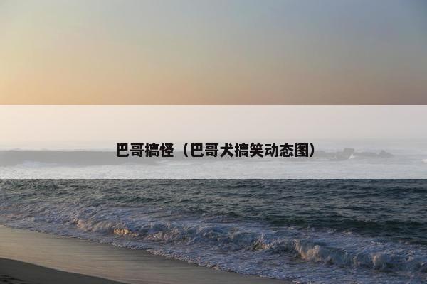 巴哥搞怪（巴哥犬搞笑动态图）