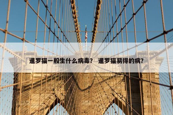 暹罗猫一般生什么病毒？ 暹罗猫易得的病？