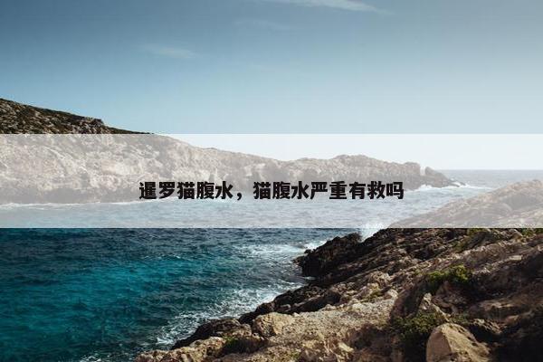 暹罗猫腹水，猫腹水严重有救吗