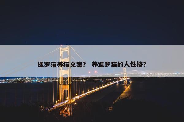 暹罗猫养猫文案？ 养暹罗猫的人性格？