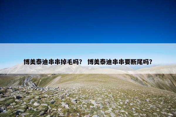 博美泰迪串串掉毛吗？ 博美泰迪串串要断尾吗？
