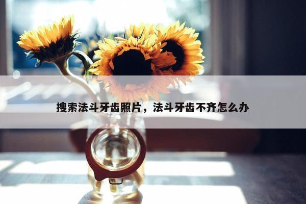 搜索法斗牙齿照片，法斗牙齿不齐怎么办
