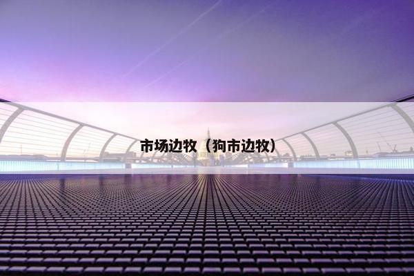 市场边牧（狗市边牧）